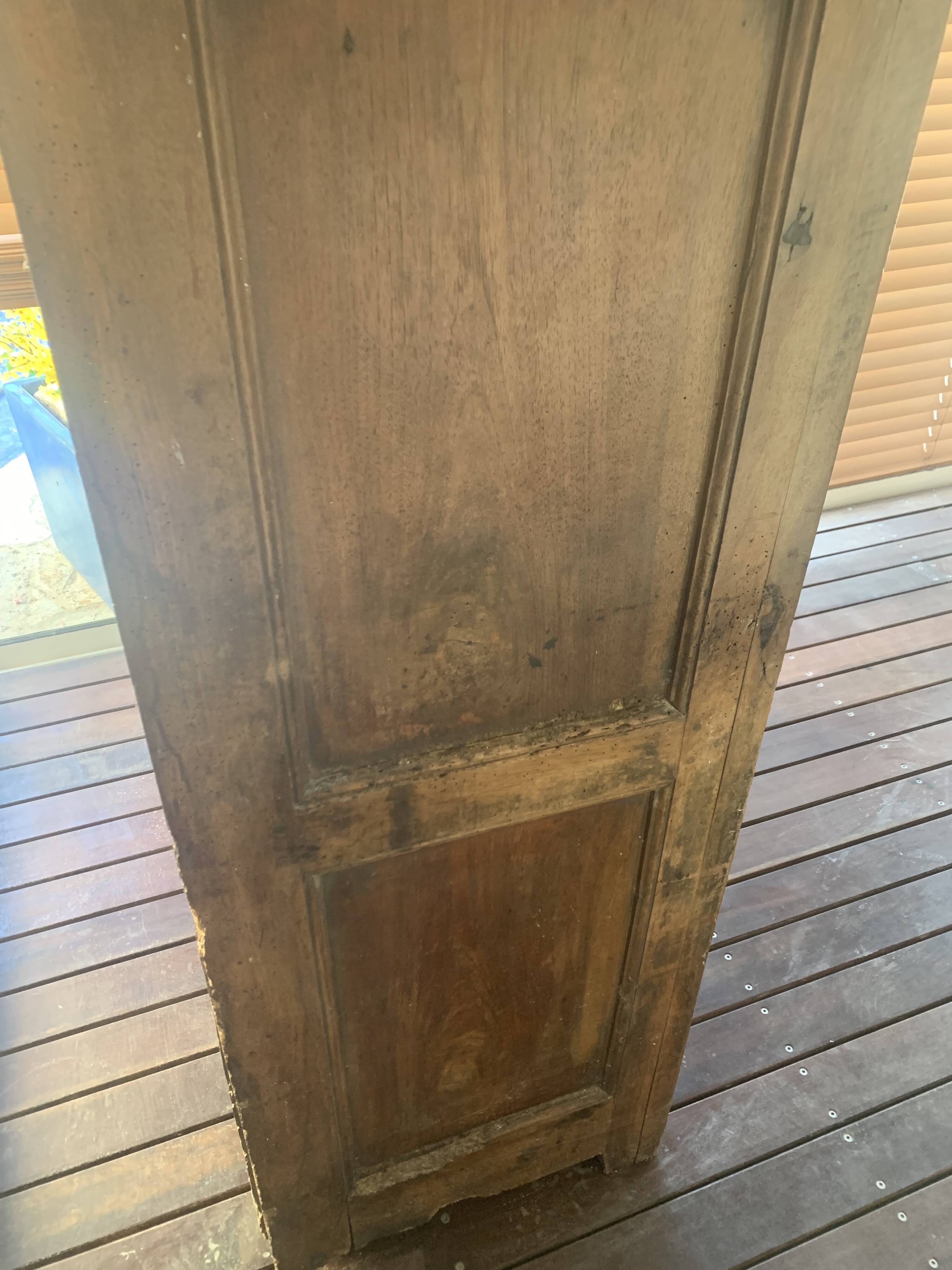 Antique tradesman's cupboard in walnut – mesh pantry – 19th century