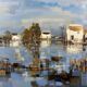 Grand tableau huile sur toile paysage Camargue Roger QUINTAINE 1921-2005