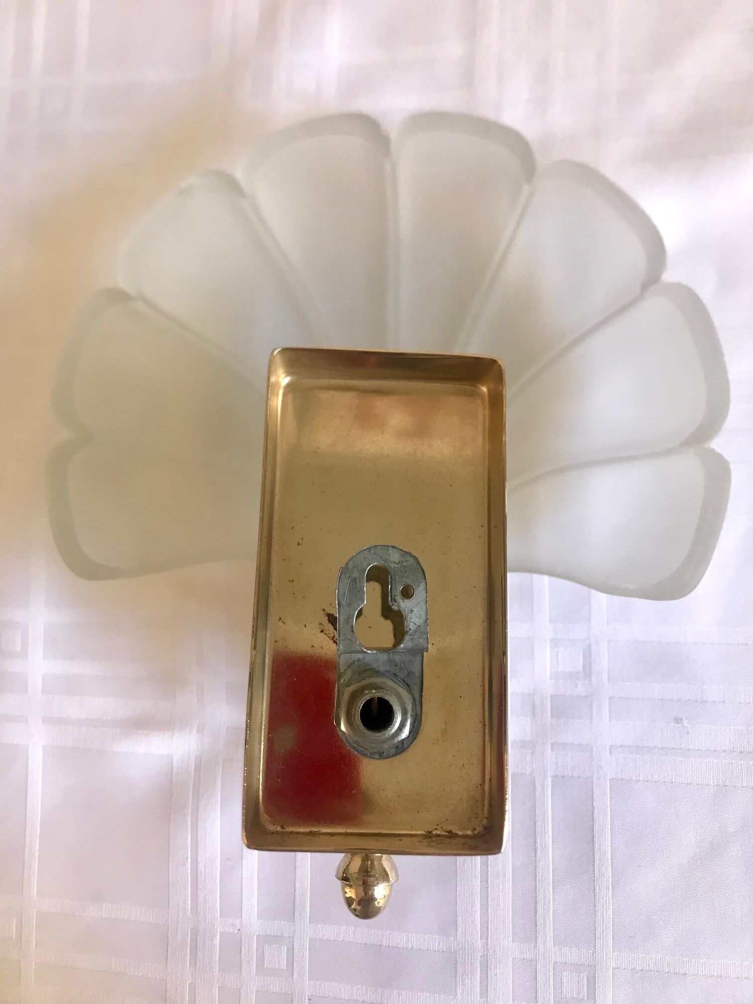 Pair of shell sconces