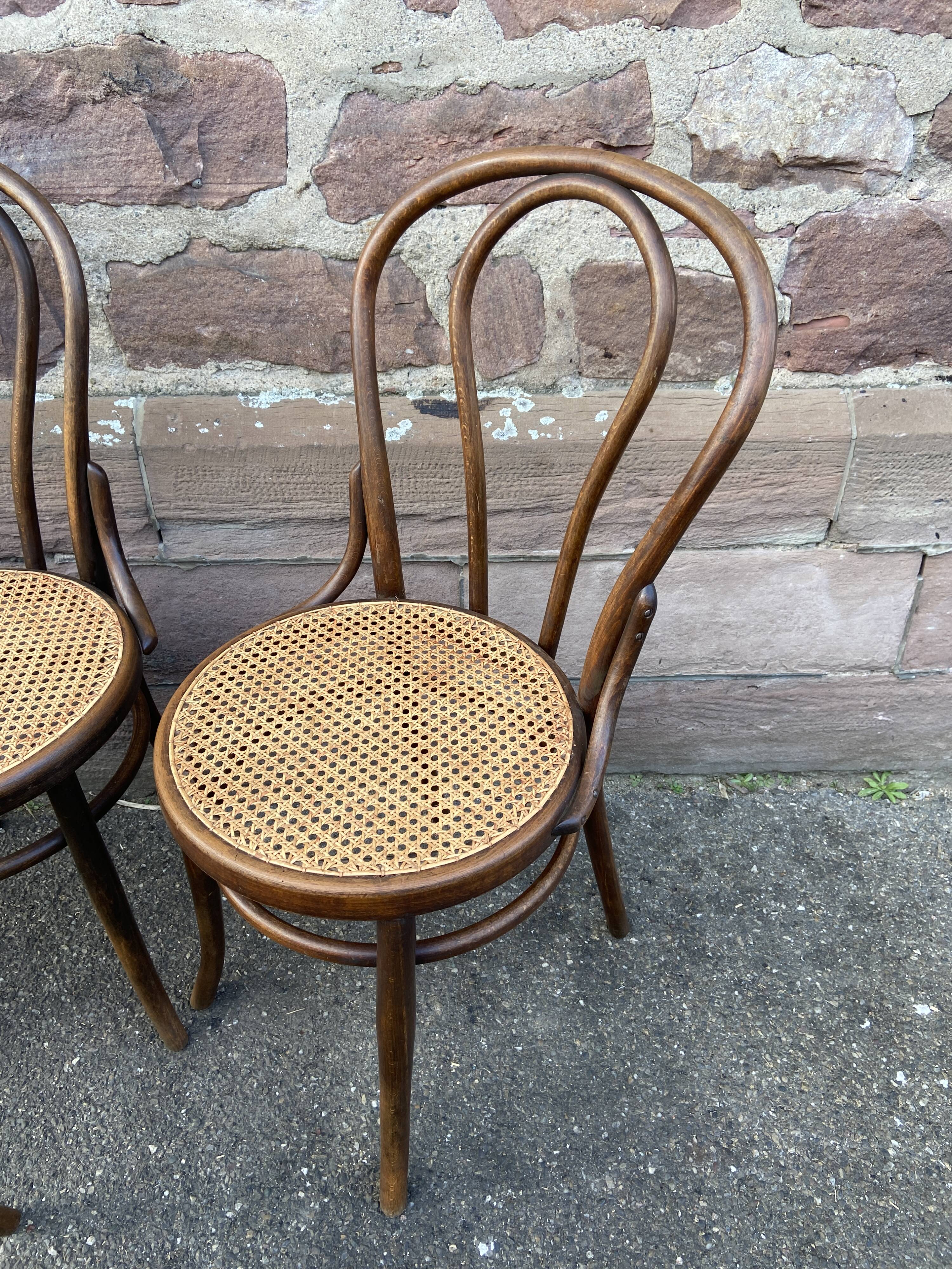 Suite of 4 chairs bistrot Fischel Nr 18 bentwood