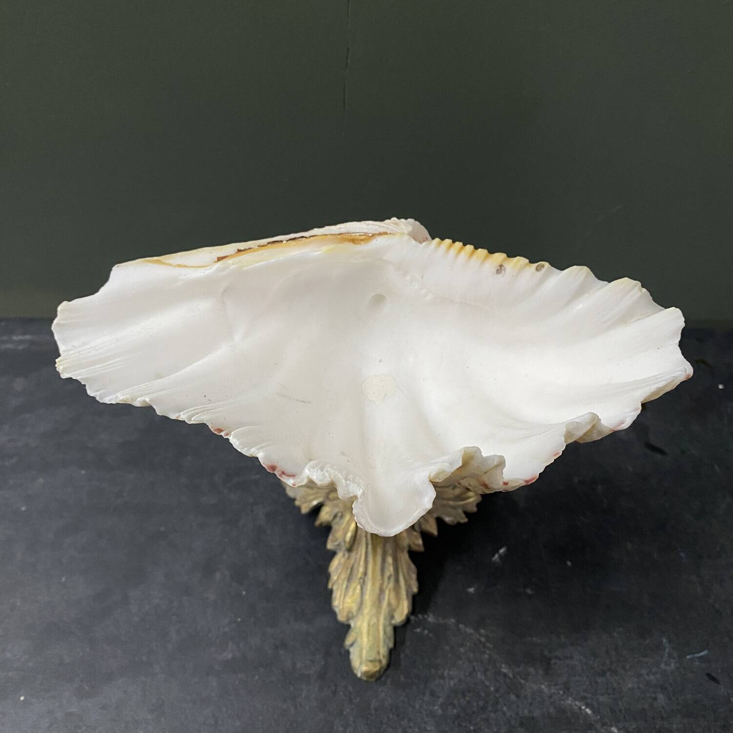 Holy water stoup shell on base