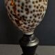 Cabinet of Curiosities shell cypraea tigris on base