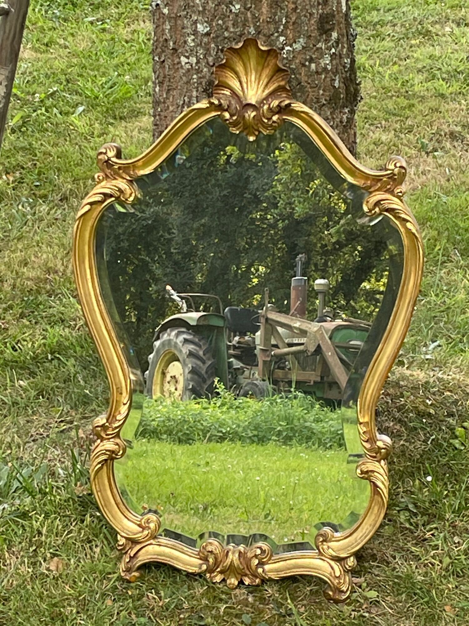Beveled gilded wood mirror with violin shapes, Louis XV baroque style shell