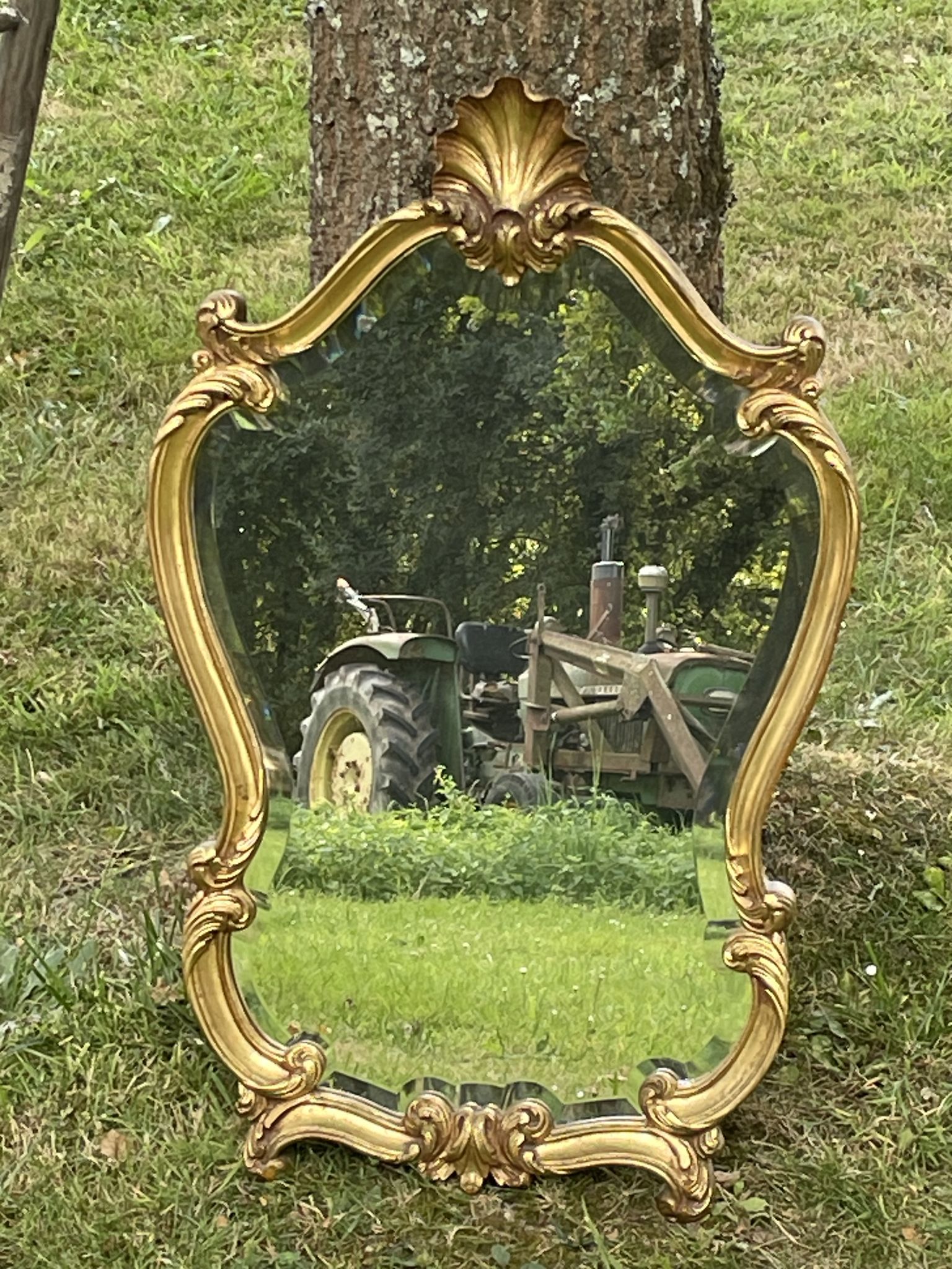 Beveled gilded wood mirror with violin shapes, Louis XV baroque style shell
