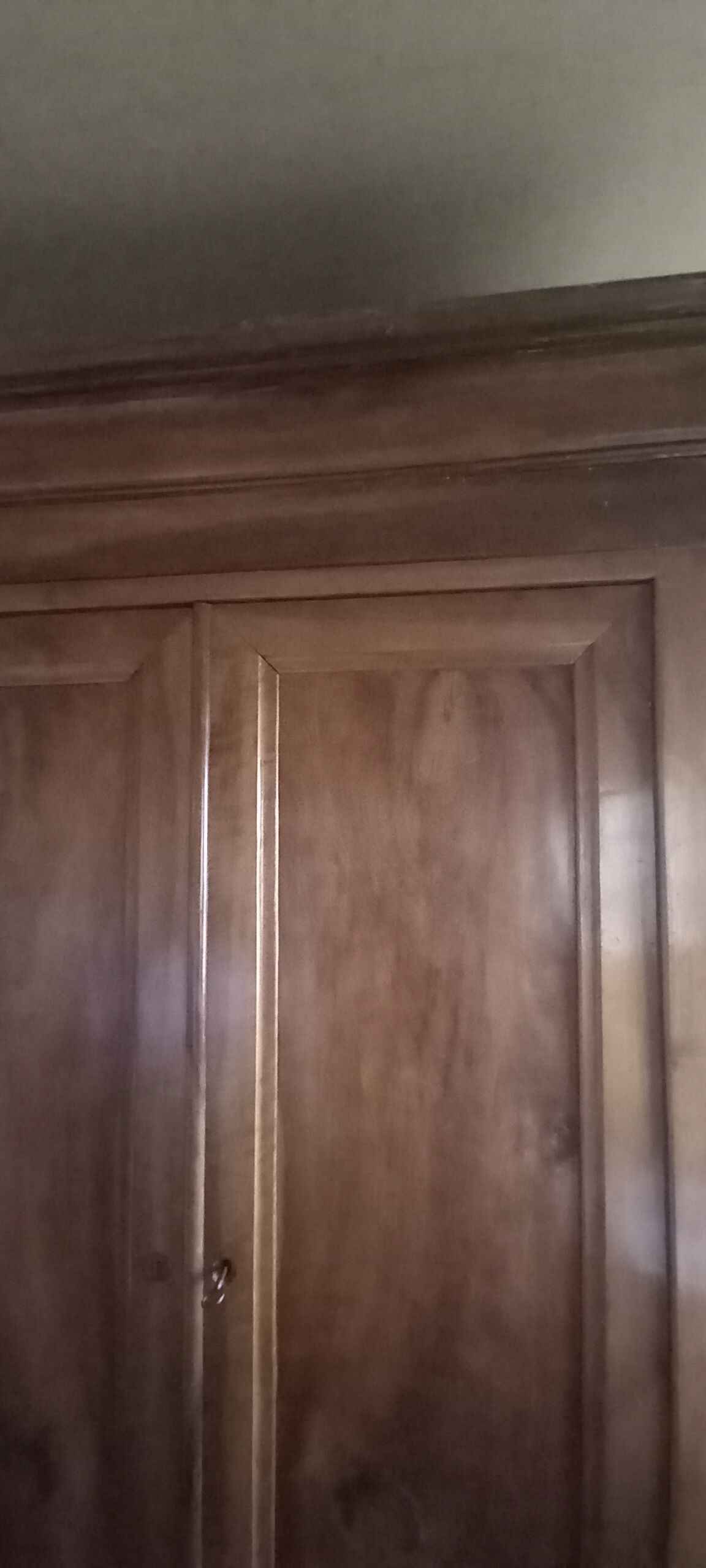 Louis Philippe style wardrobe