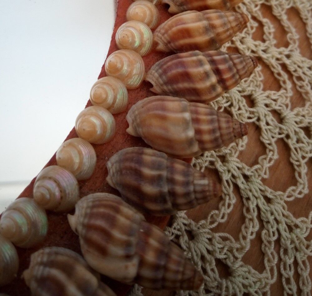 Shell hand mirror 35x19cm