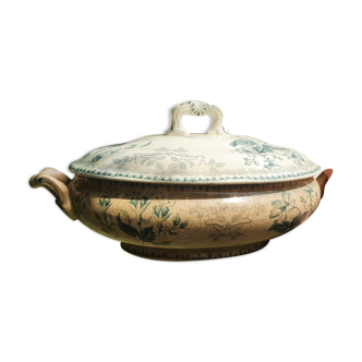 Vegetable with lid