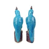 Pair of Turquoise Glazed Parrots Chinese Porcelain 30cm