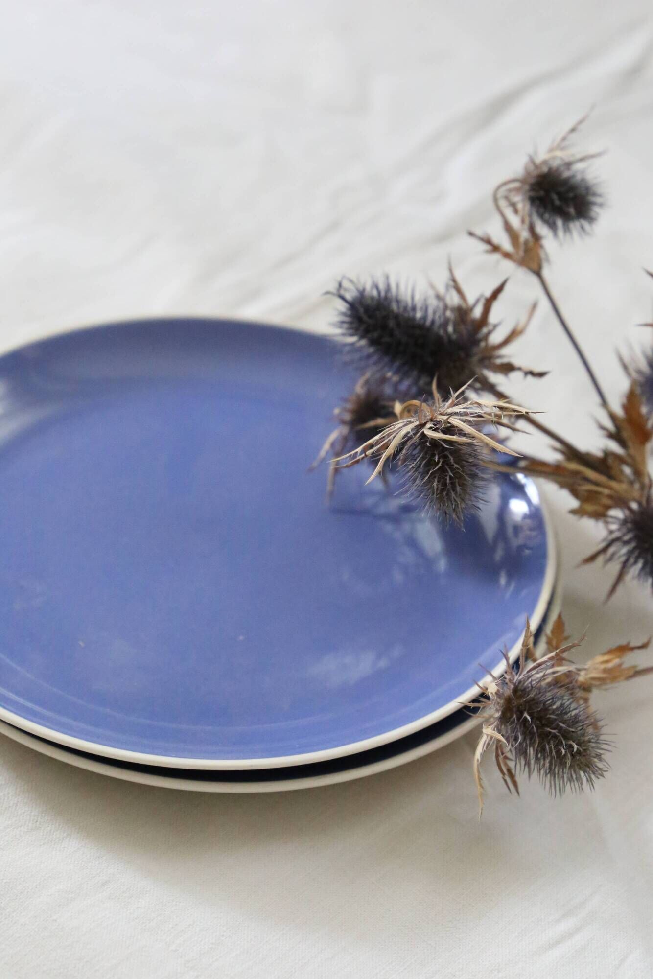 Duo of blue dessert plates, SAAR, Villeroy and Boch model, vintage