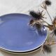 Duo of blue dessert plates, SAAR, Villeroy and Boch model, vintage