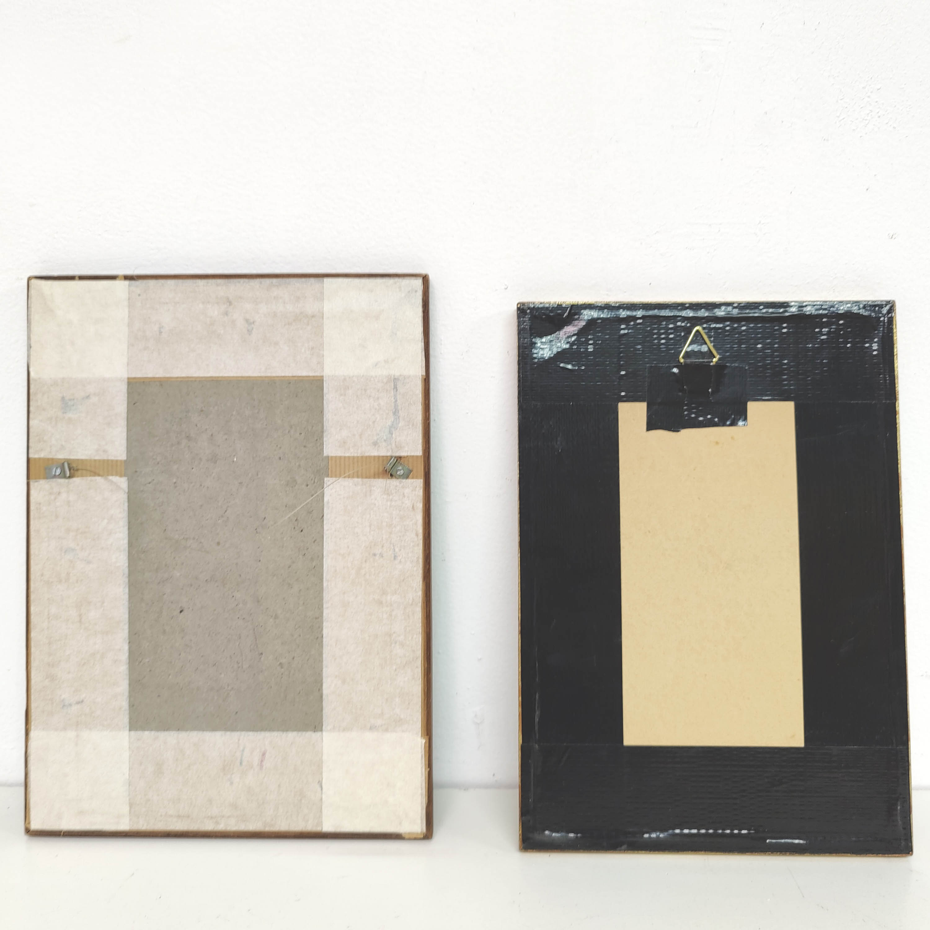Lot 2 wooden frames botanical illustrations J. Gould and HC Richter