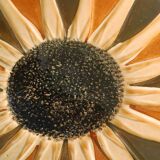 Sunflower bowls from Gien