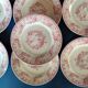 7 assiettes Gien