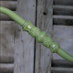 Green gooseneck courtyard wall lamp