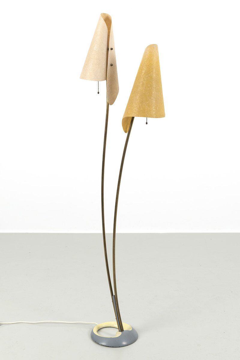 Organically Shaped Floor Lamp