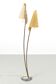 Organically Shaped Floor Lamp