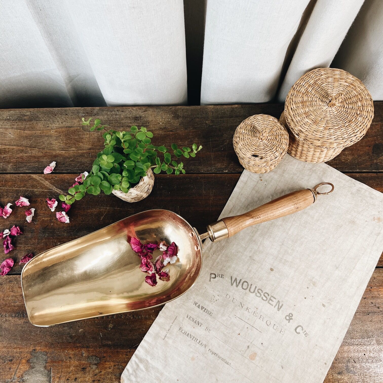 Large old brass grocery shovel