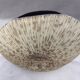 Ceramic vase shell ammonite design art
