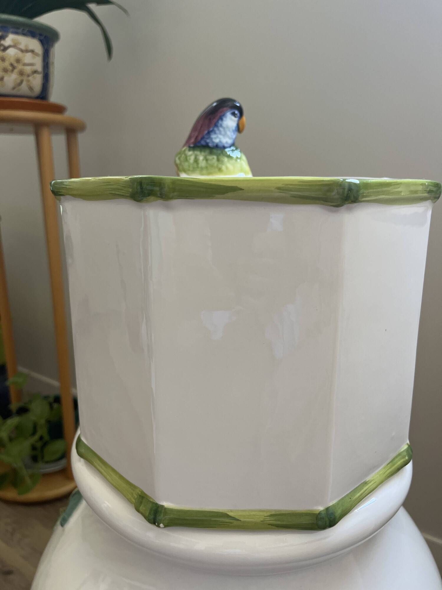 Cache pot