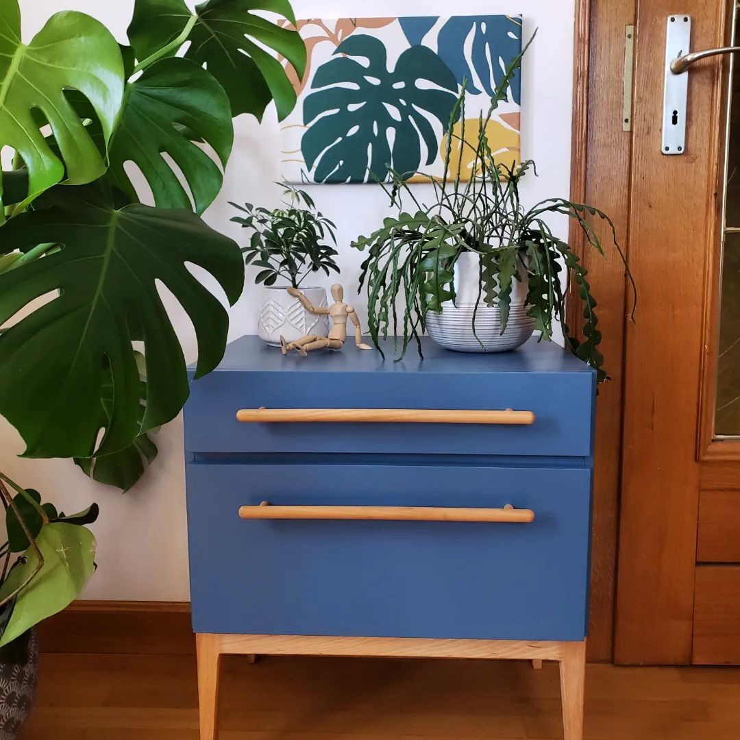 Blue sixties cabinet and monstera leaves