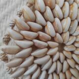 Shell decoration