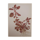 Planche botanique Amarante (23.2 GEIGY)