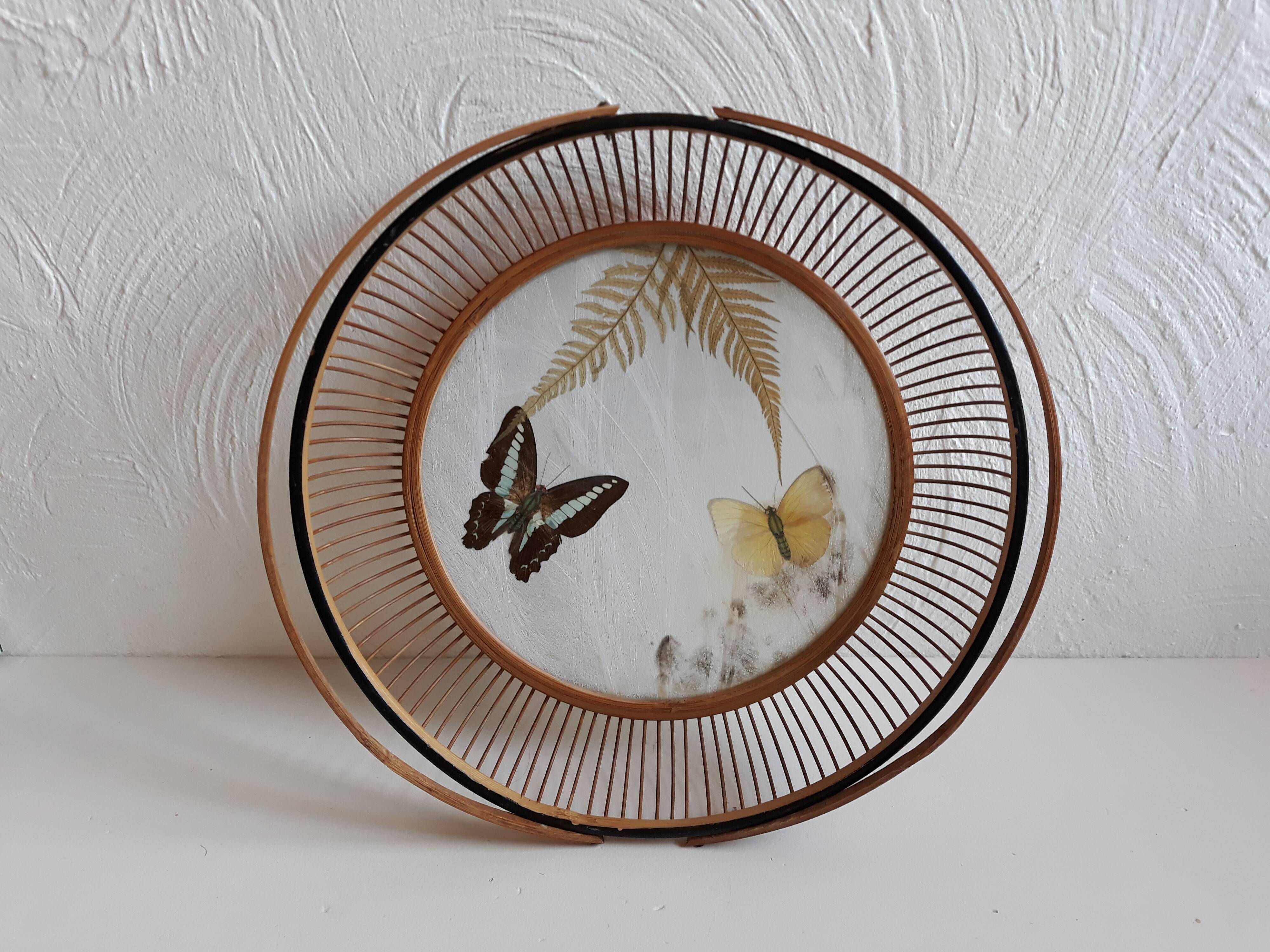Butterfly serving plate