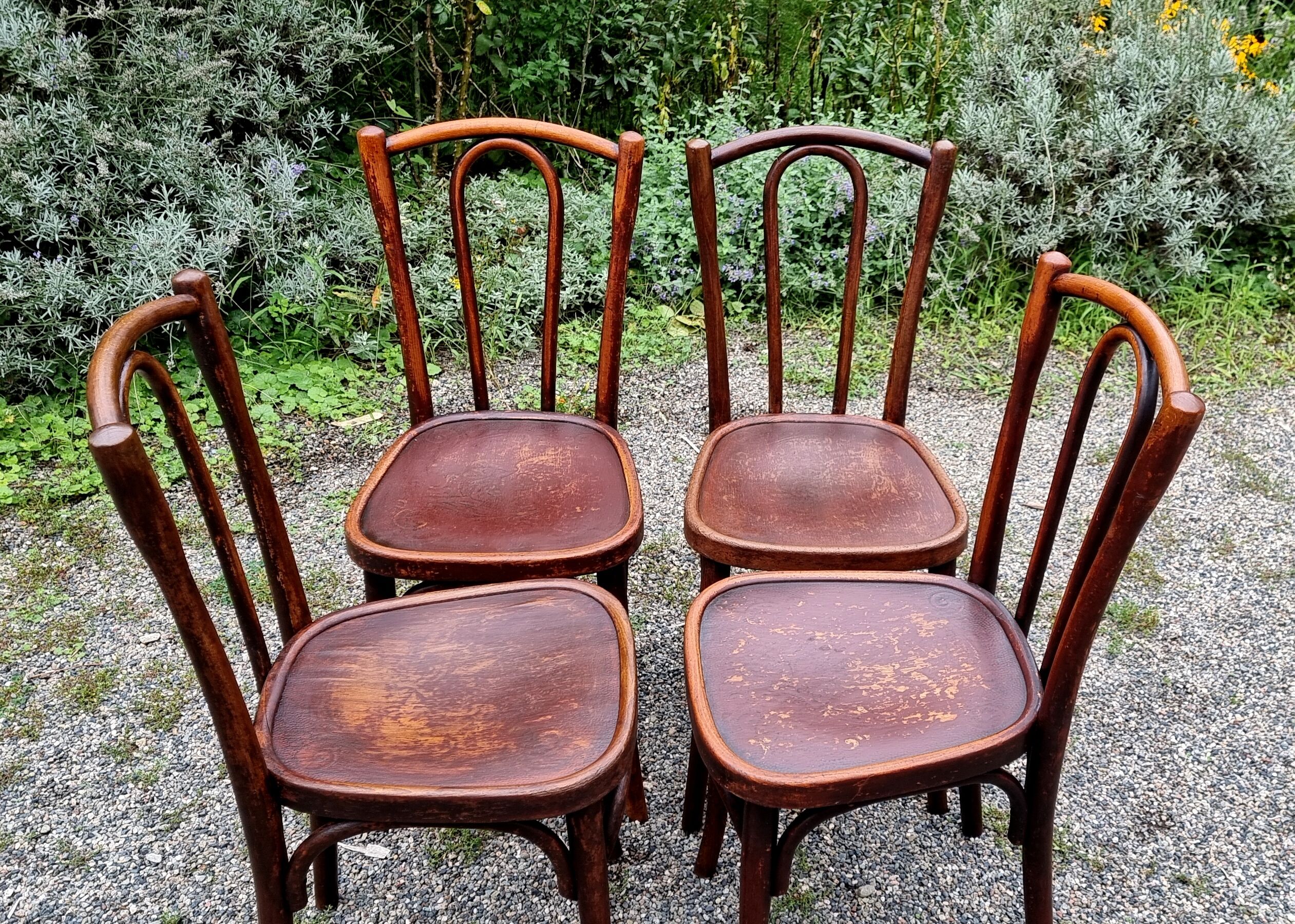 4 chairs bistrot type n°56 years 30