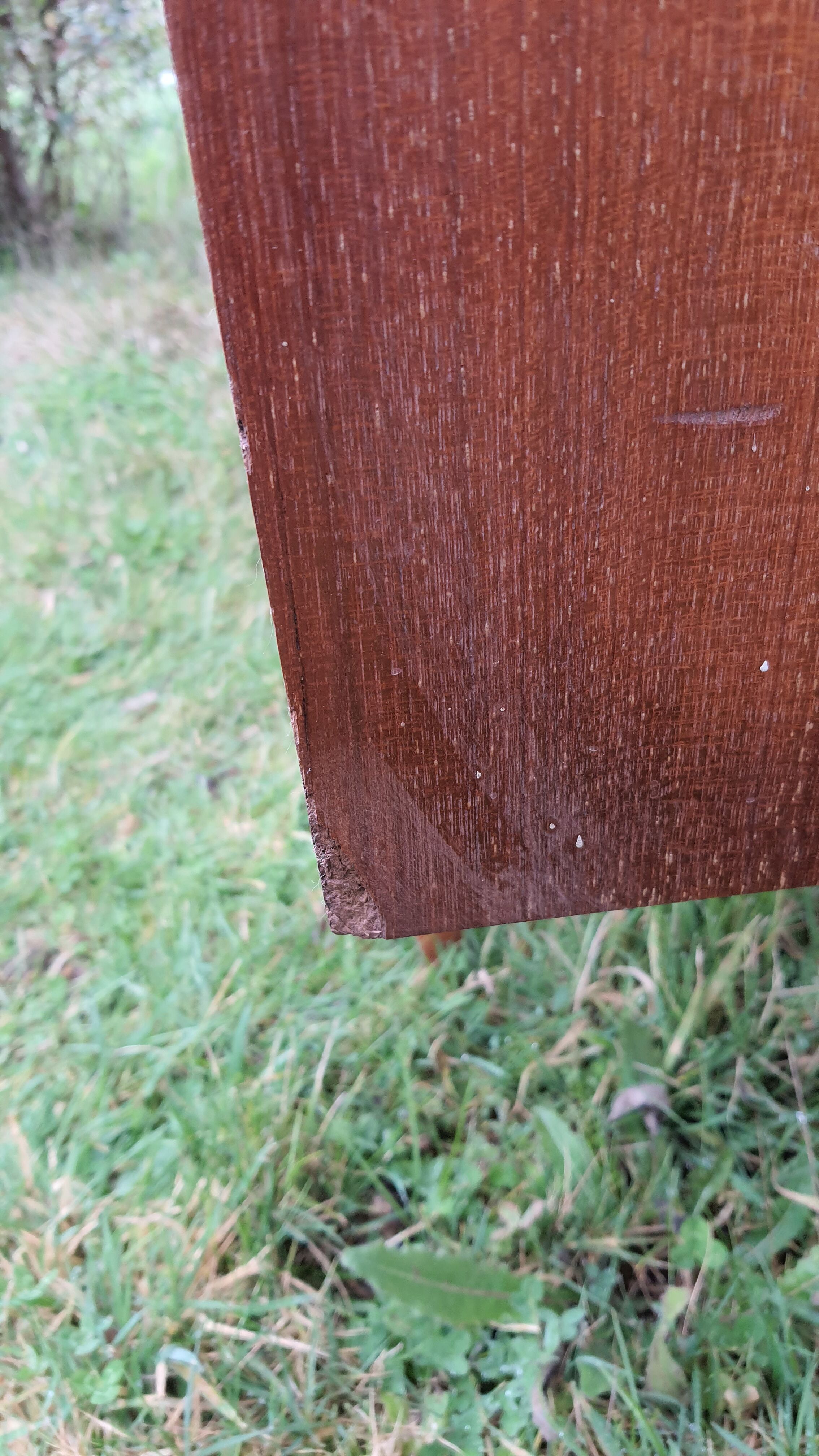 Scandinavian enfilade