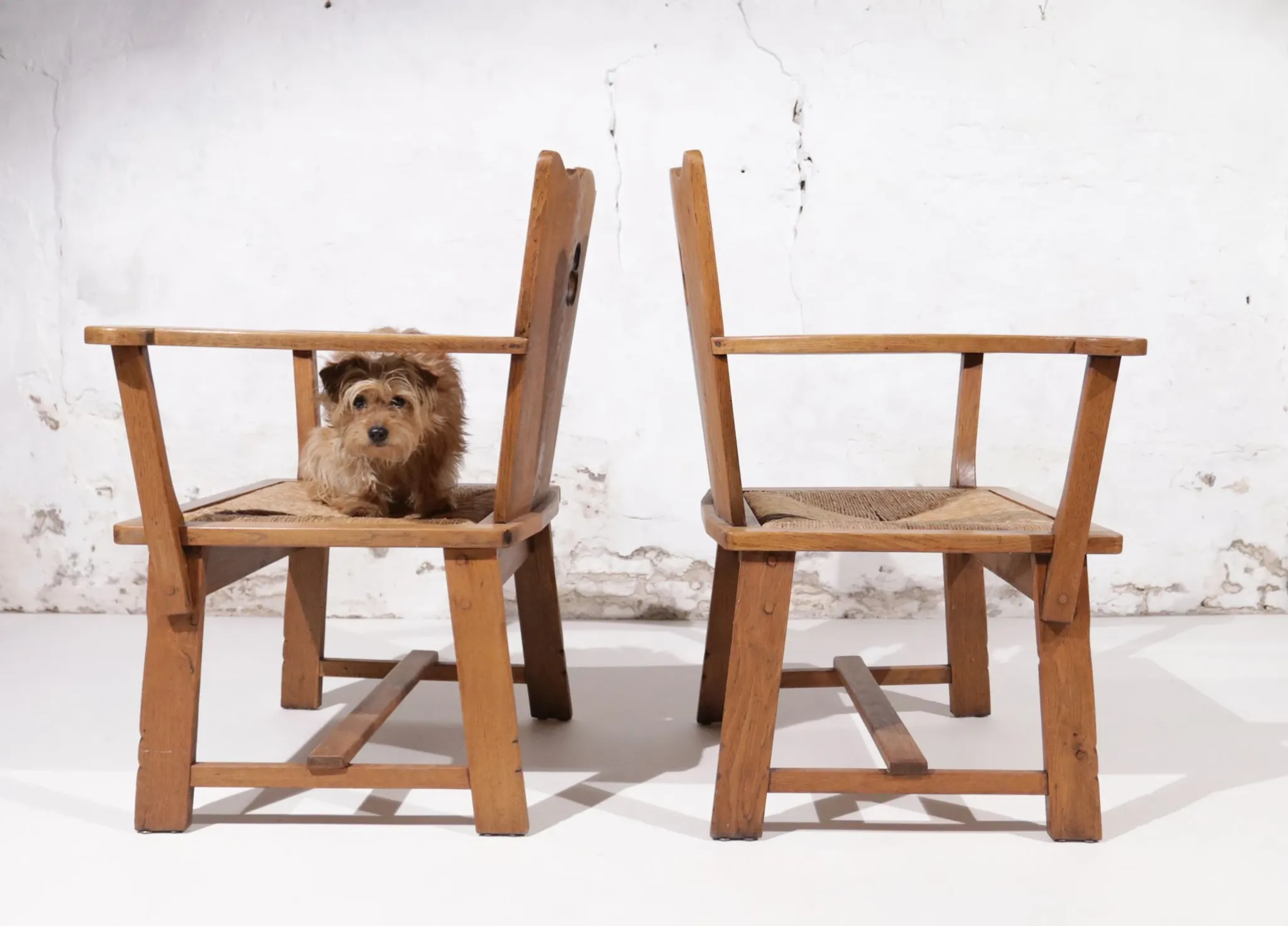 Pair of brutalist oak throne chairs with rush seats – Netherlands, 1930s