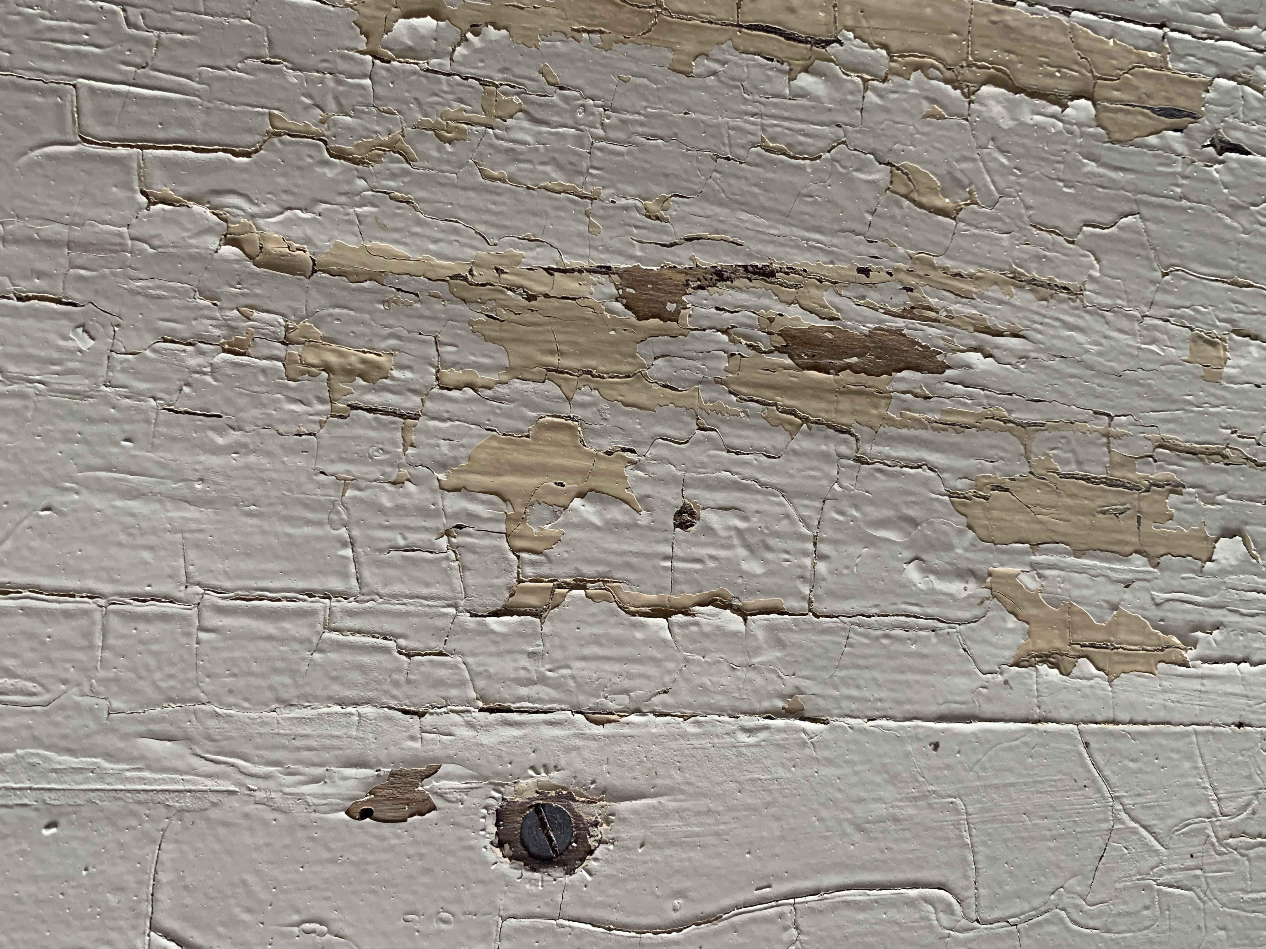 Buffet with elephant feet