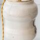 Italian apothecary jar table lamp with new Dupion silk shade, 19th century.