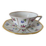 Limoges Porcelain Cup with Decor of Barbel Fish and Roses