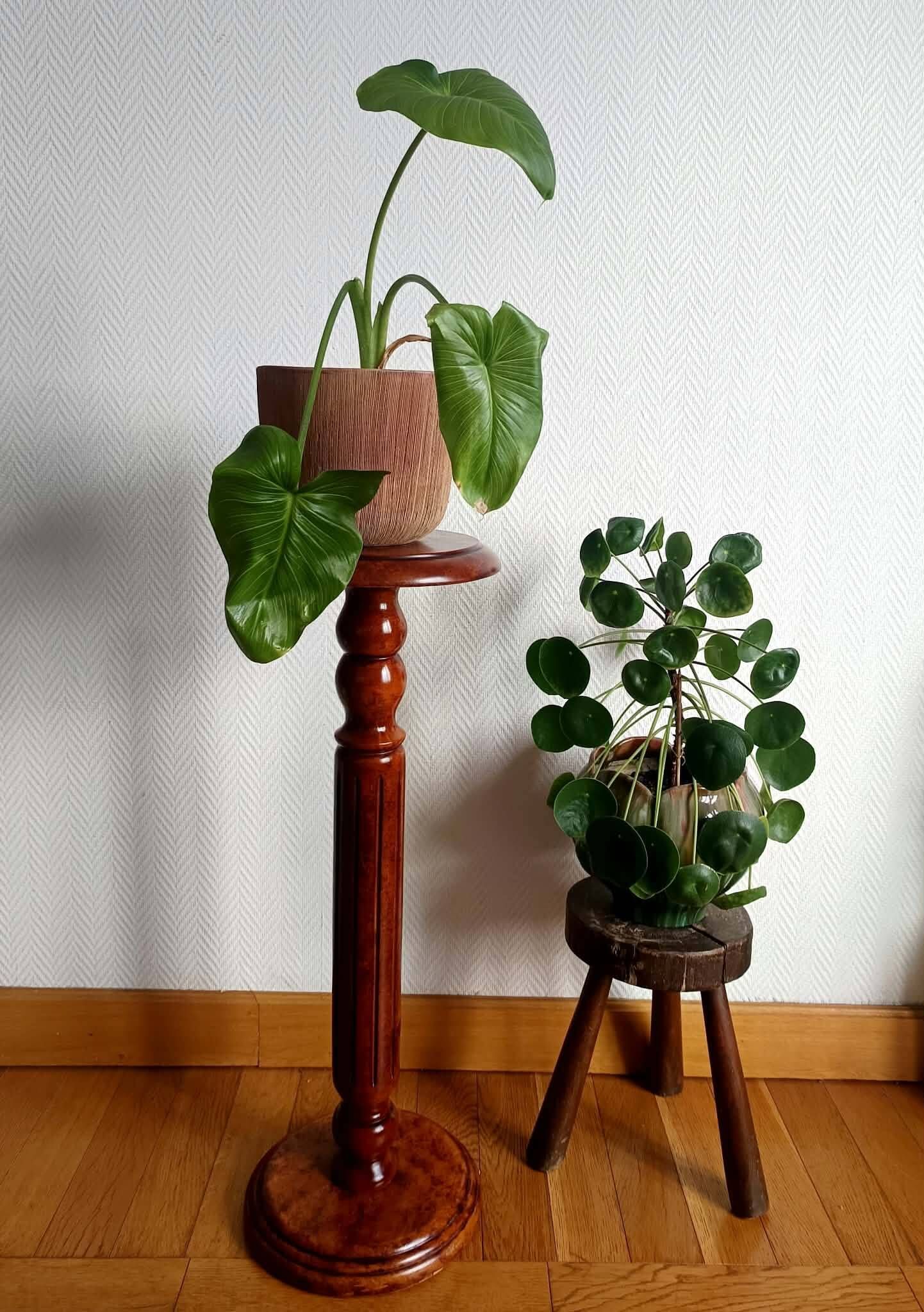 Sellette colonne en bois teinté mouluré
