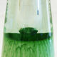 Multi-layered glass soliflore vase