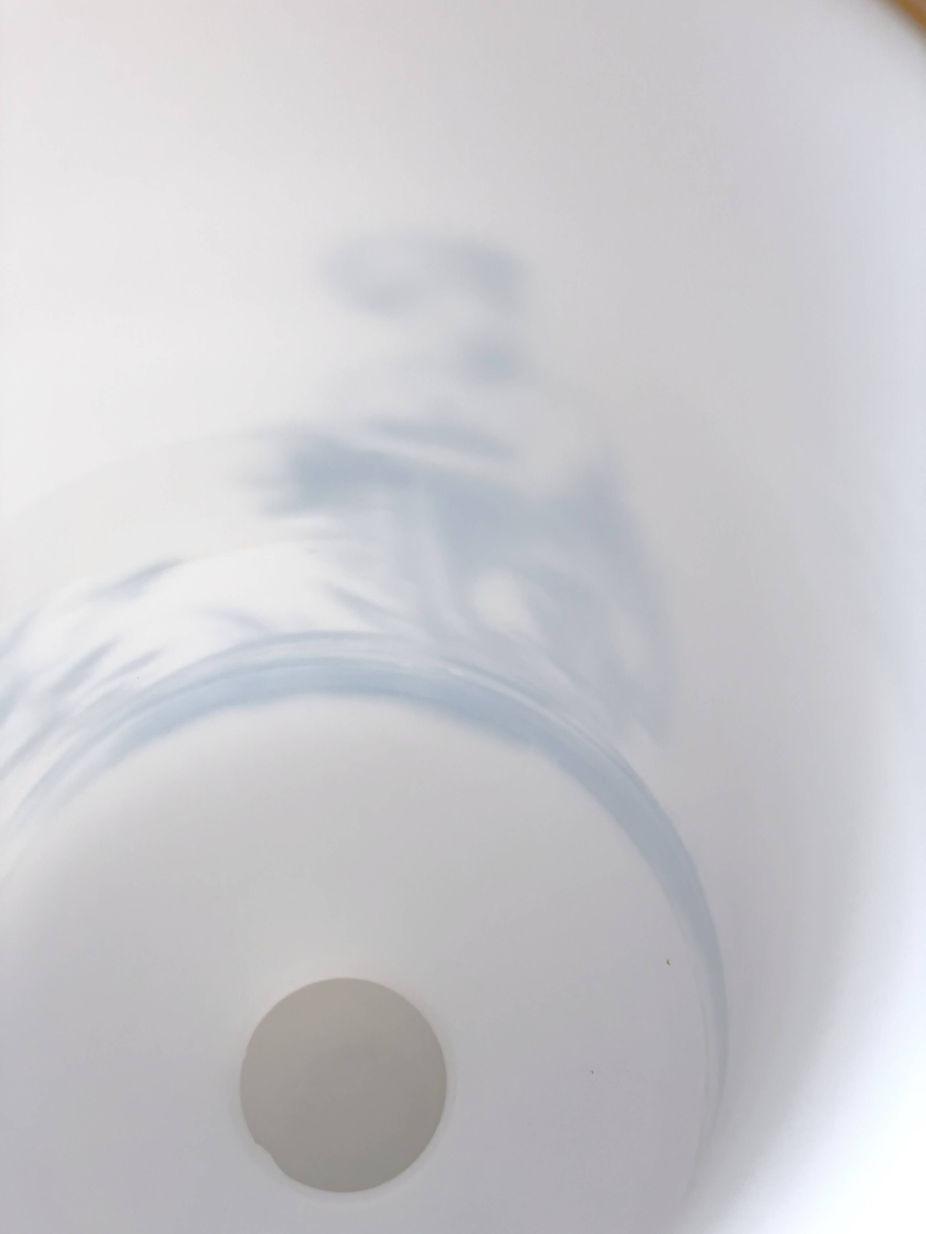 Grand Vase Opaline 19ème Siècle décor à l'antique