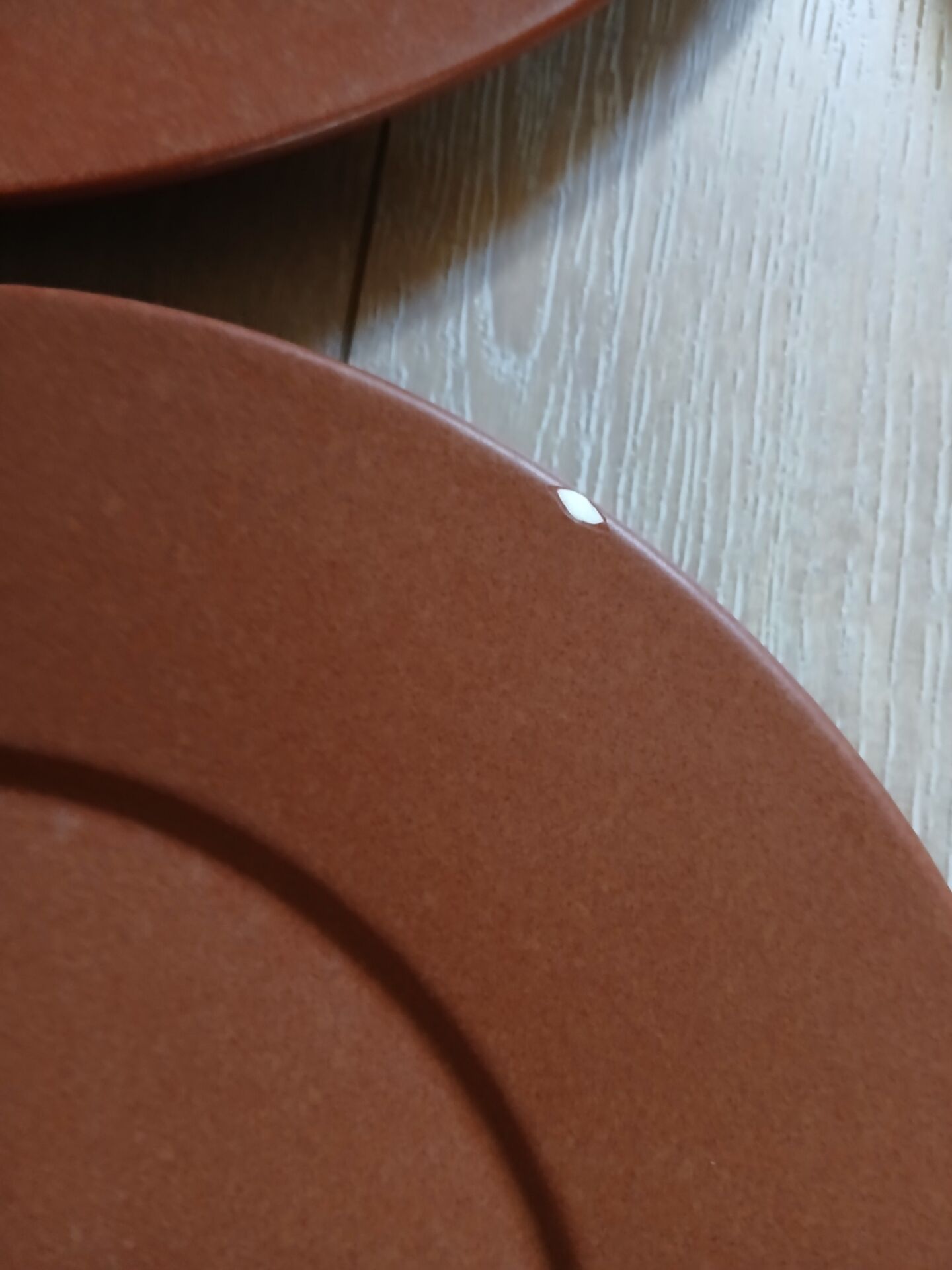 12 large flat plates Molin / Charolles
