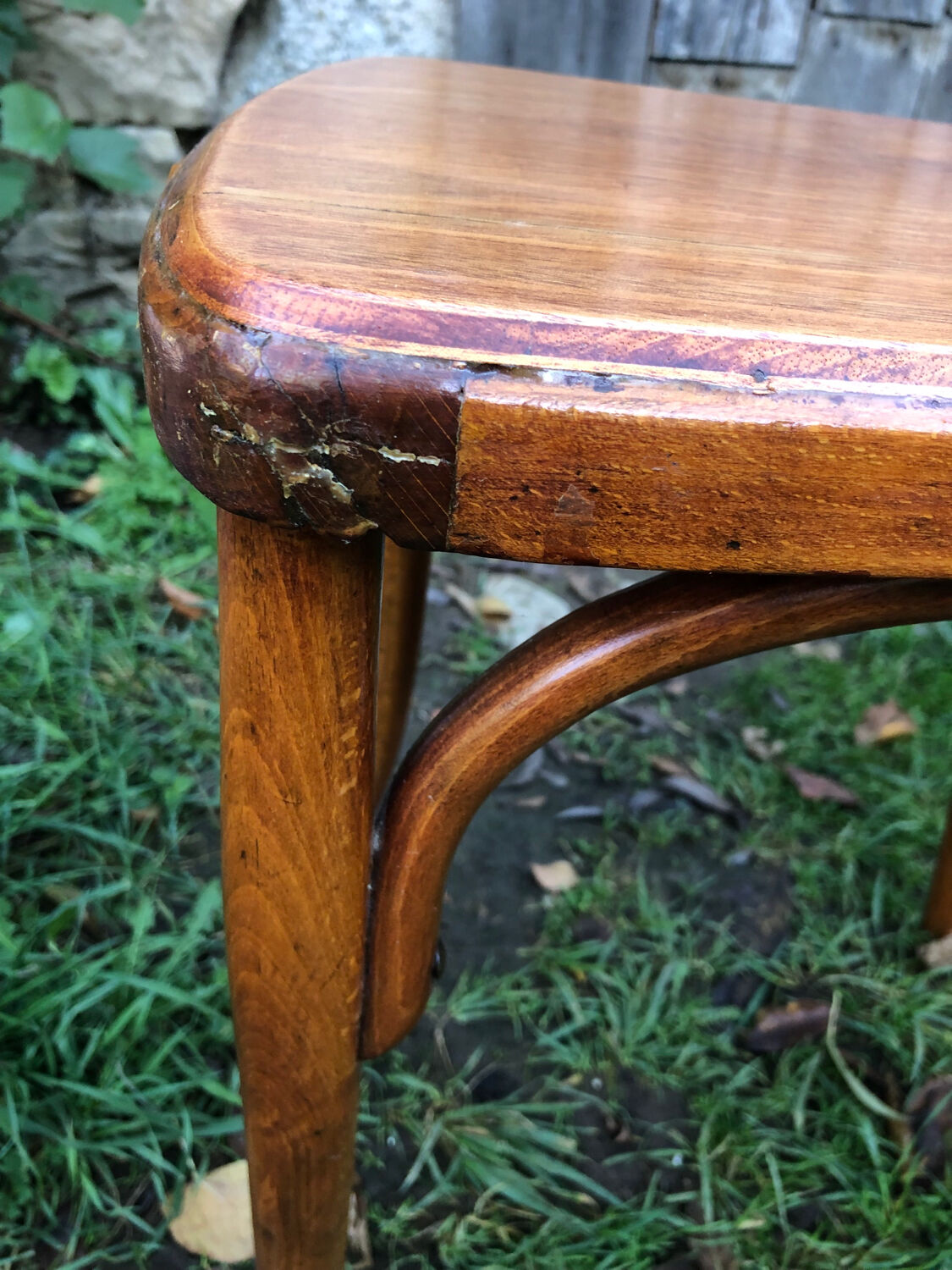 Varnished bistro chairs