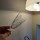 9 Bayel crystal champagne flutes signed, cut crystal.