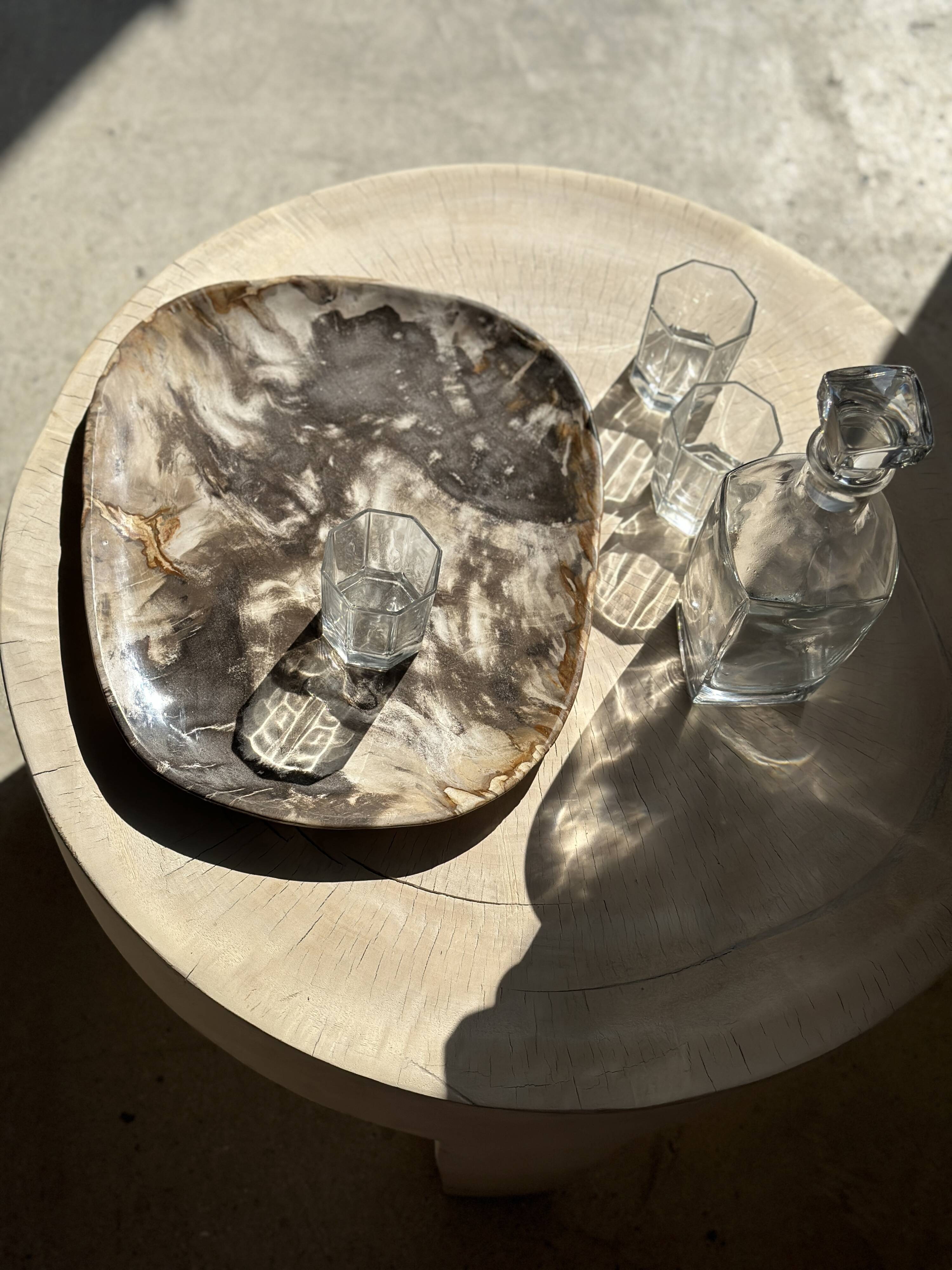 Very large pocket or dish in petrified wood