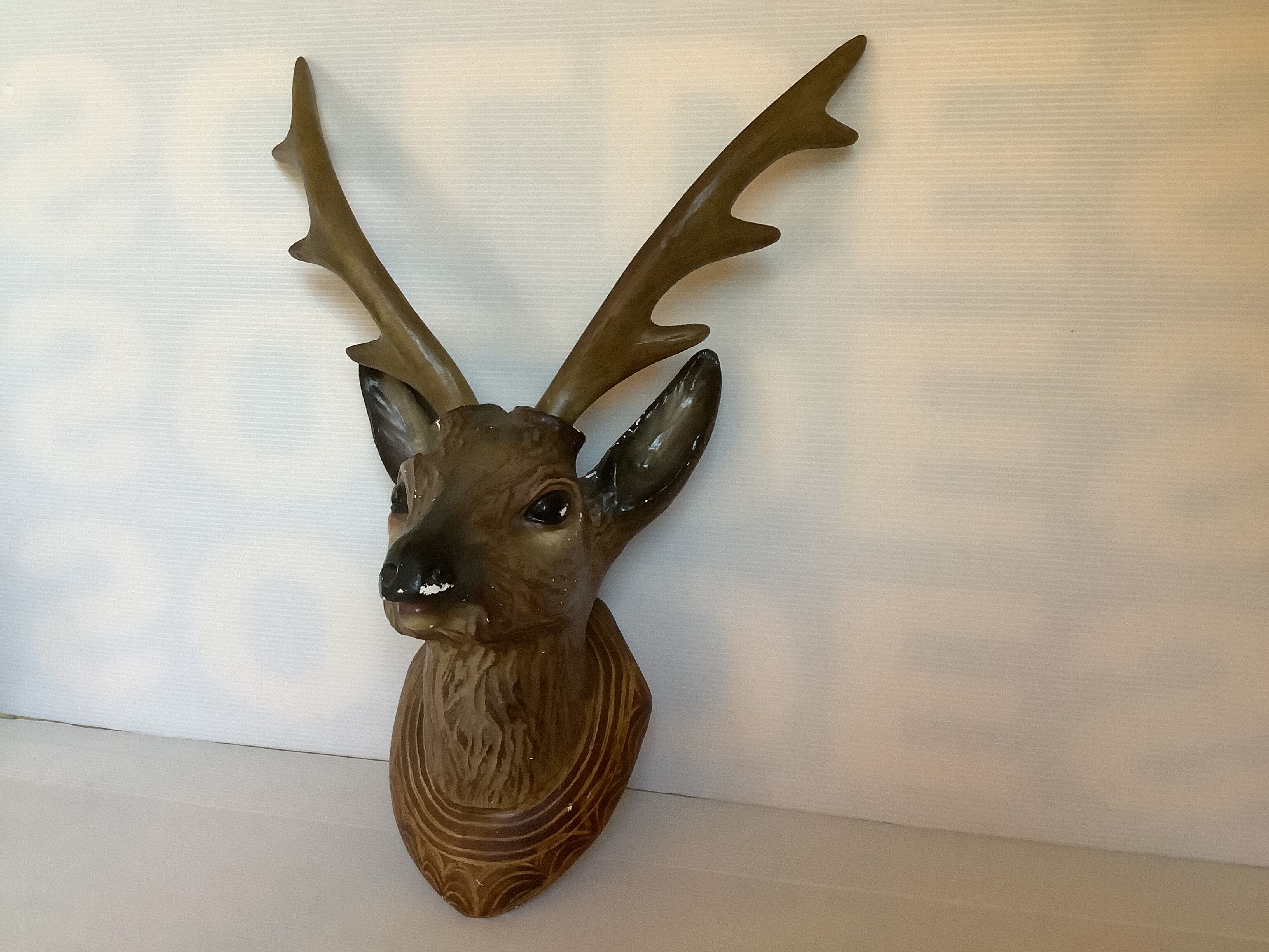 Former deer trophy