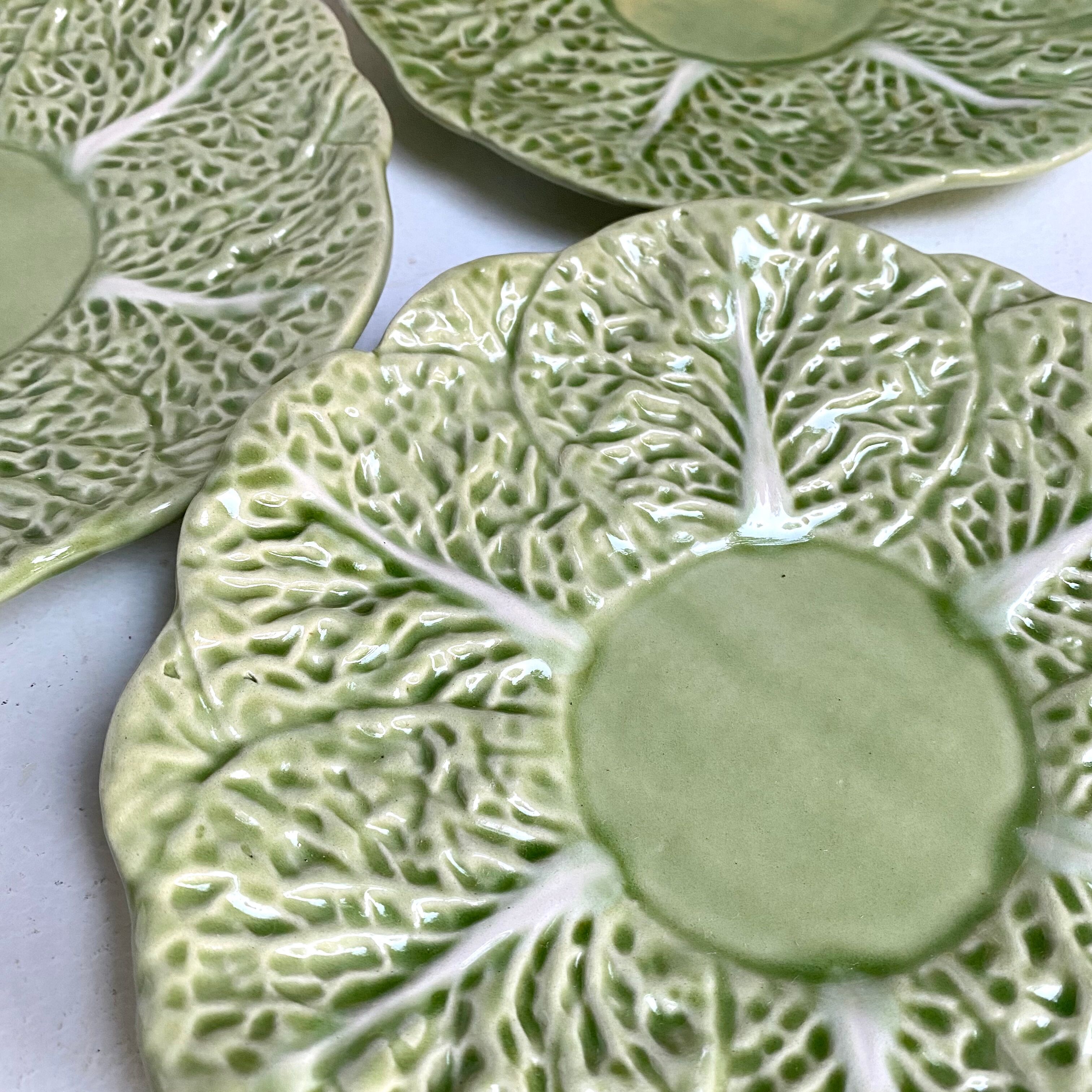 Flat plates in cabbage leaf slurry