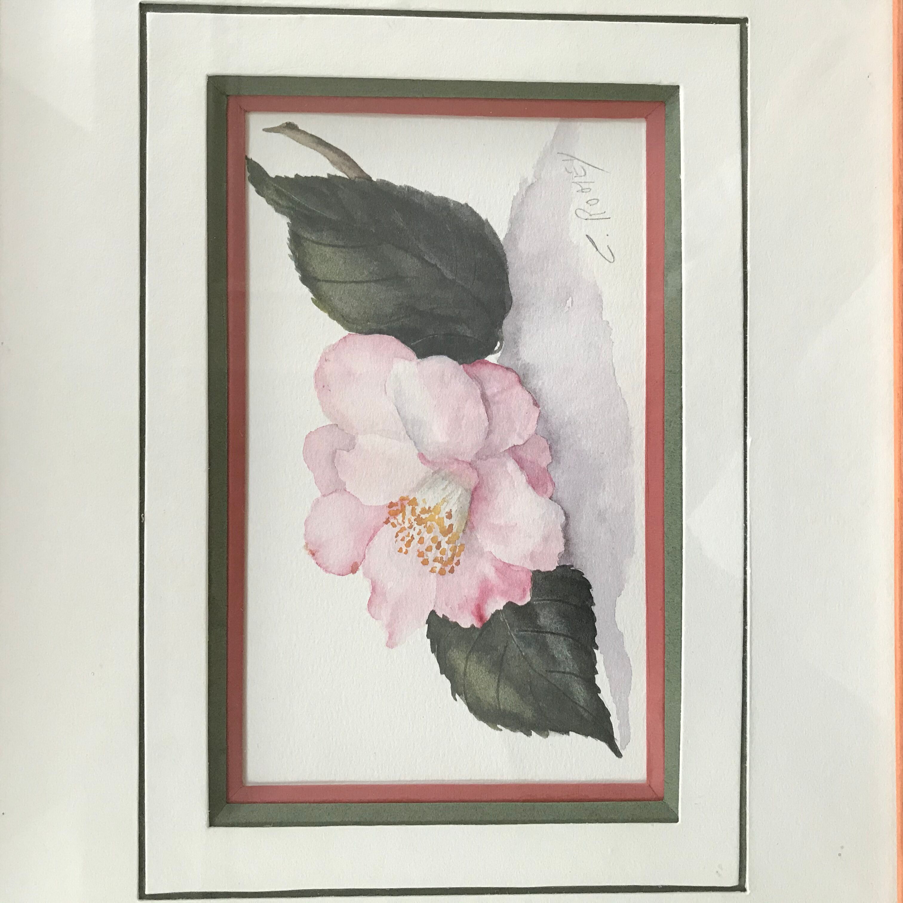 Botanical watercolour signed and framed