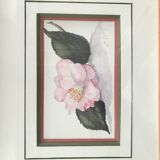 Signed and framed botanical watercolor