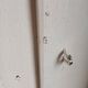 Antique oak wardrobe