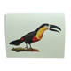 Antique plate -Toucan of Para- Vintage illustration from 1970 birds Huet