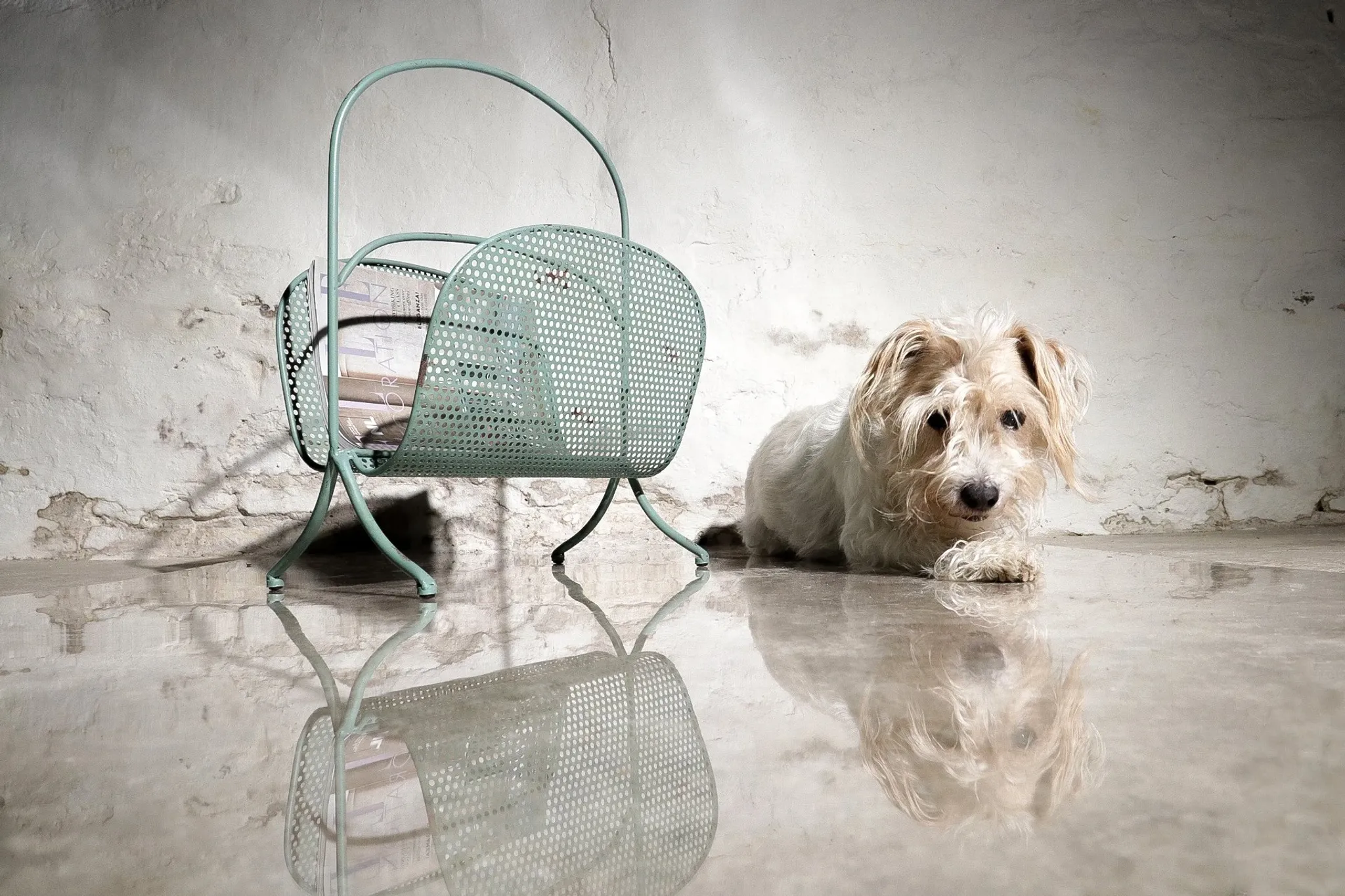 Vintage design metal magazine rack in mint green, Mathieu Matégot style