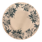 Assiette en terre de fer