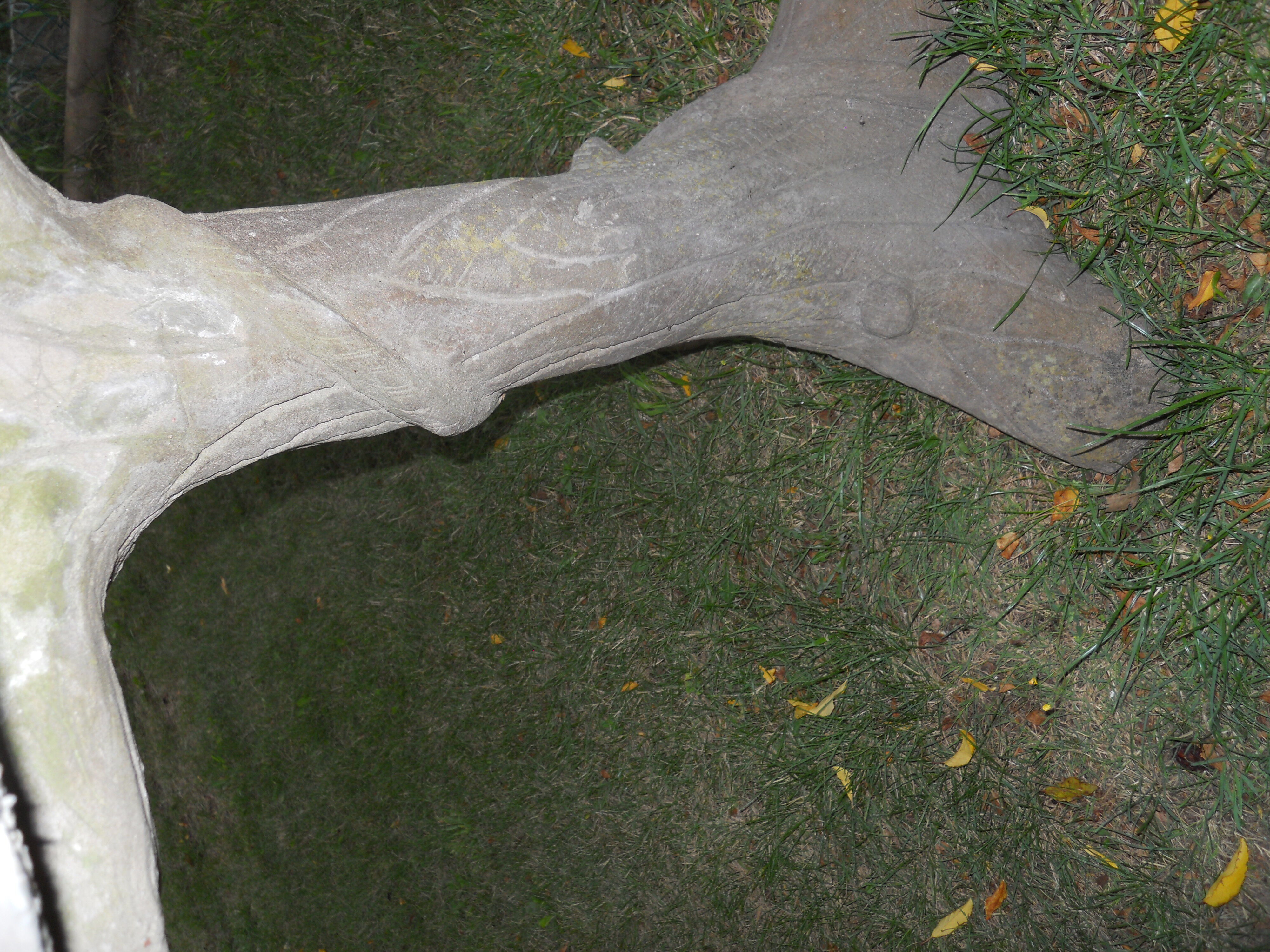 Foot cement garden table shape trunk