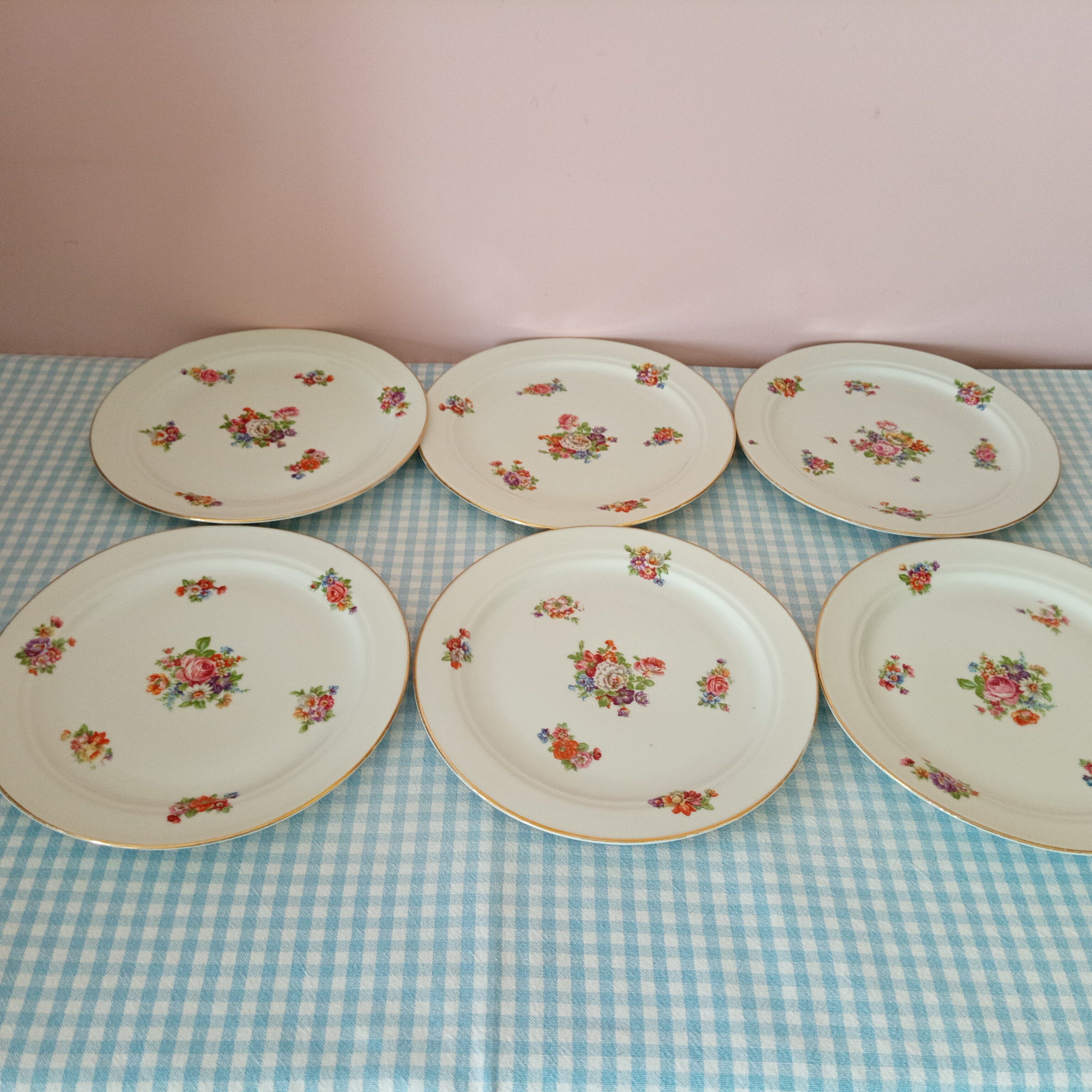6 porcelain plates